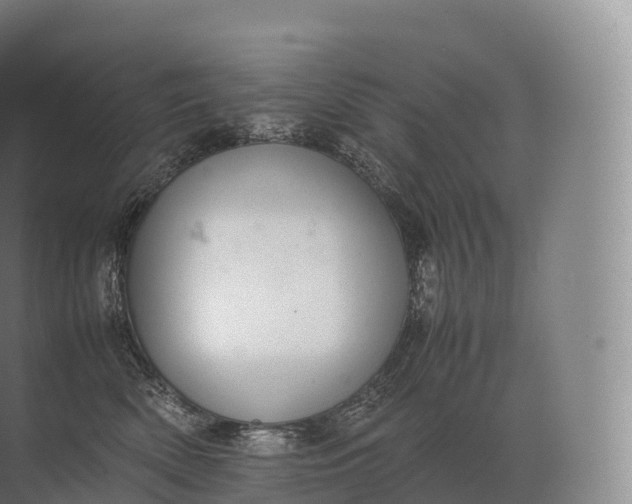 X0000071780522200607150058