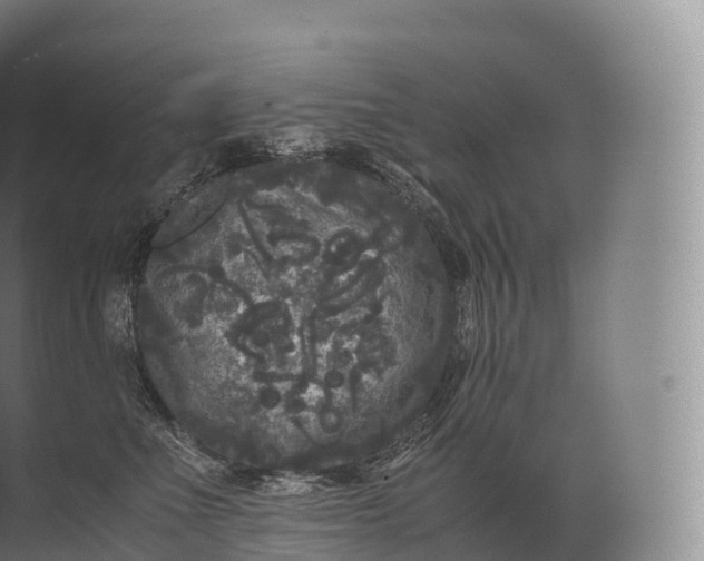 X0000071780523200607150058