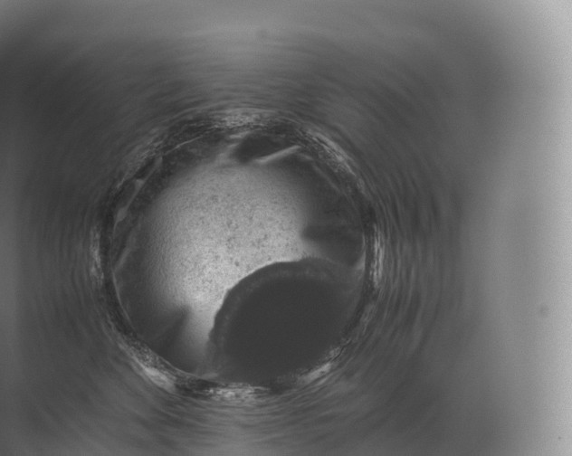 X0000071780524200607150058