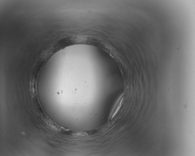 X0000071780525200607150058