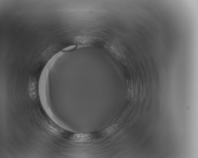 X0000071780526200607150058