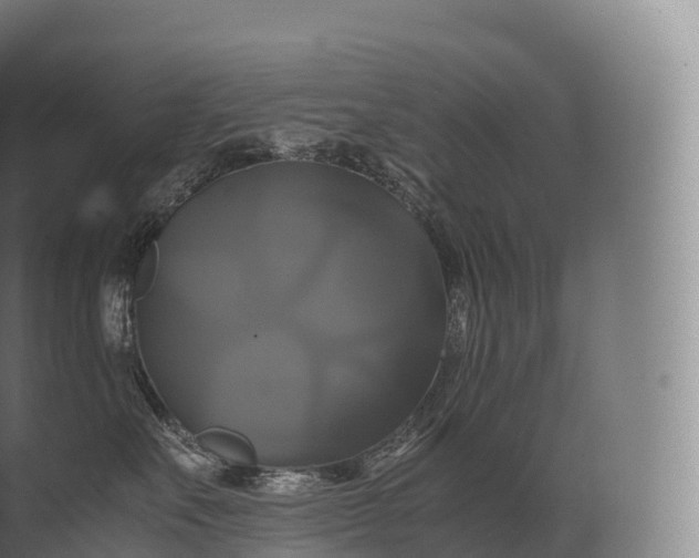 X0000071780527200607150058