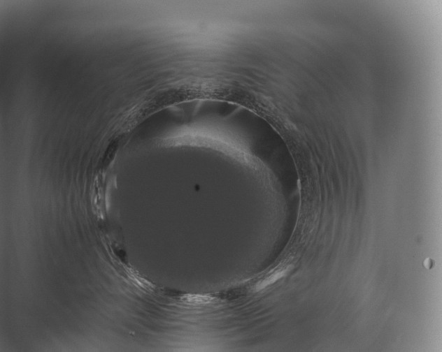 X0000071780528200607150058