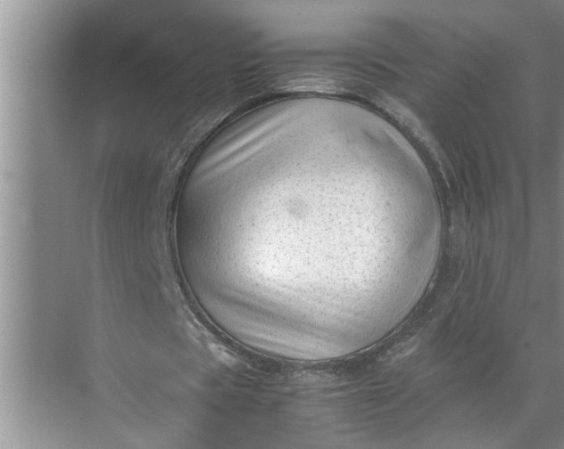 X0000071780529200607150057