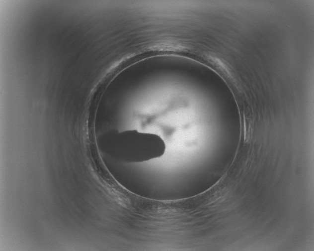 X0000071780531200607150057