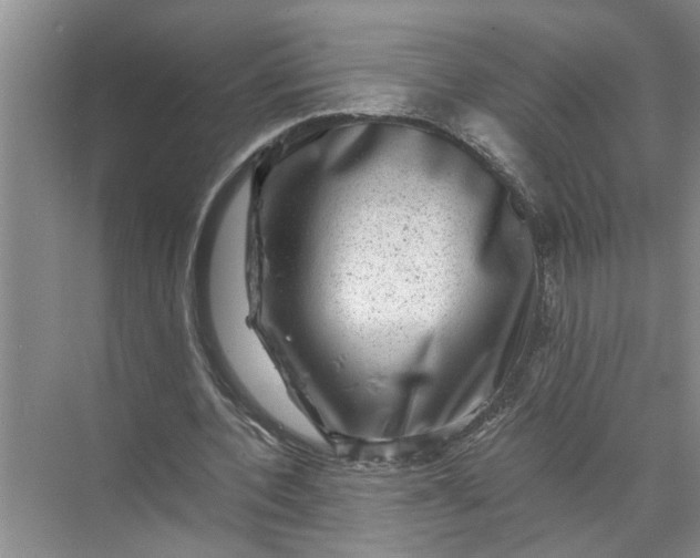 X0000071780532200607150057