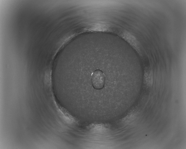 X0000071780534200607150057