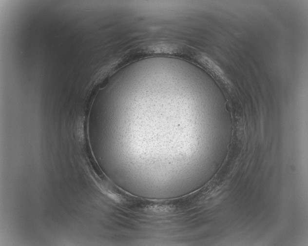 X0000071780537200607150057