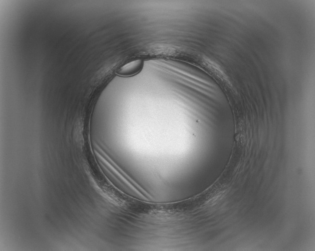 X0000071780538200607150057