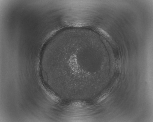 X0000071780540200607150057