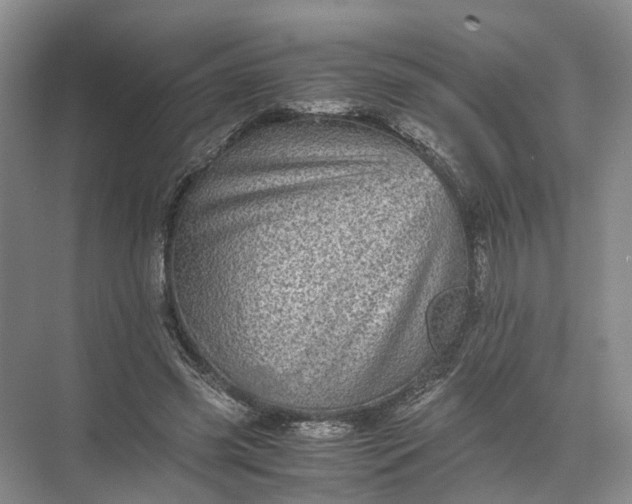 X0000071780541200607150057