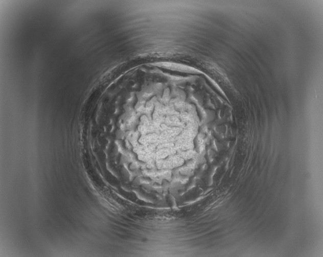 X0000071780542200607150057