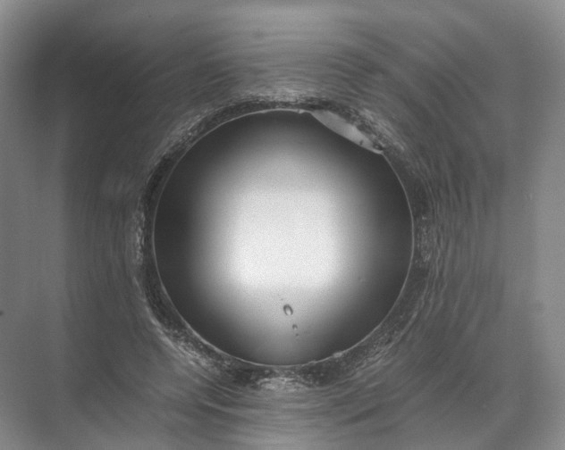 X0000071780544200607150057