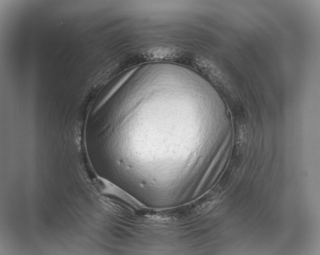 X0000071780545200607150057