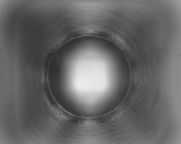 X0000071780546200607150057