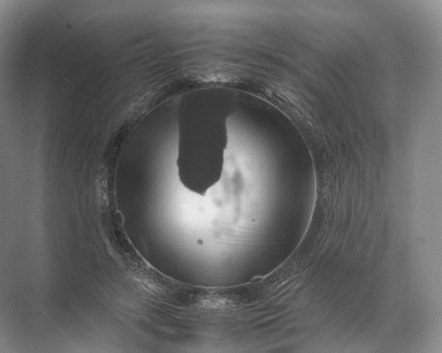 X0000071780547200607150057