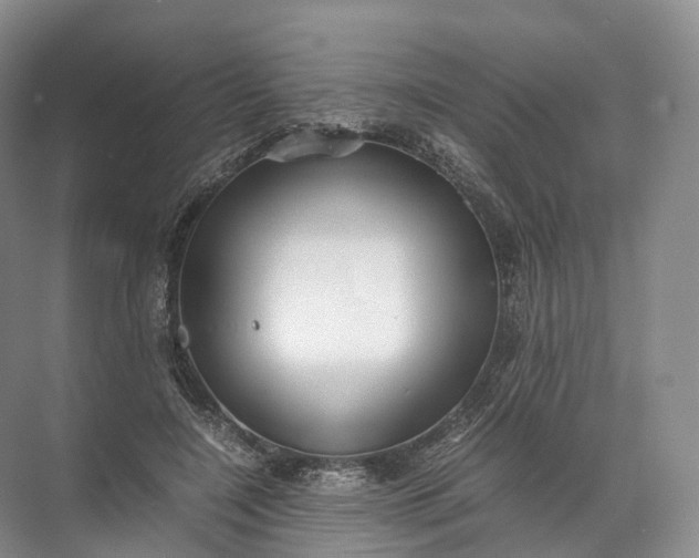 X0000071780548200607150057