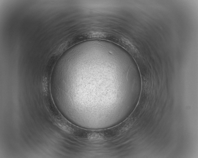 X0000071780549200607150057