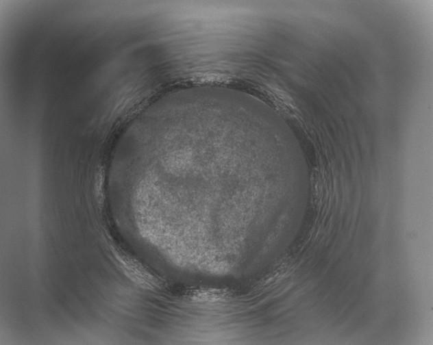 X0000071780550200607150057