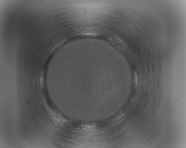 X0000071780552200607150057