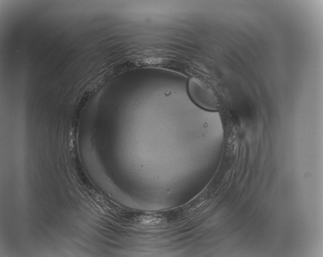 X0000071780555200607150058