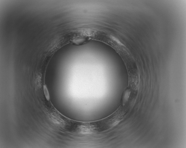 X0000071780556200607150058