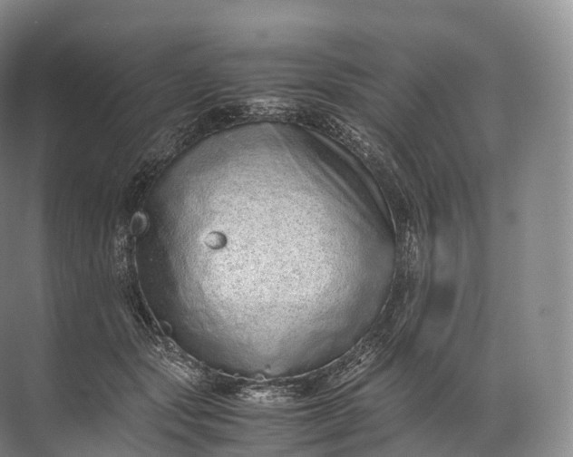 X0000071780557200607150058