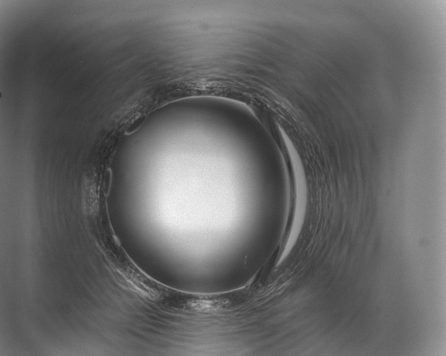 X0000071780558200607150058