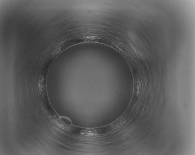 X0000071780559200607150058