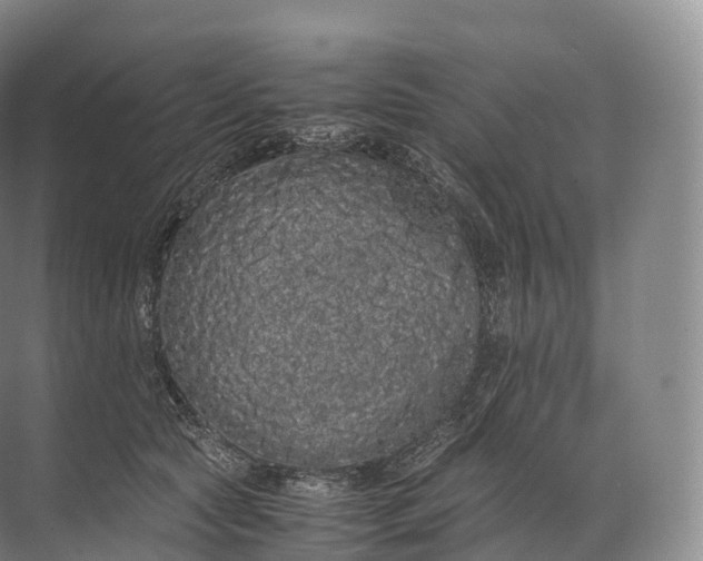 X0000071780561200607150058