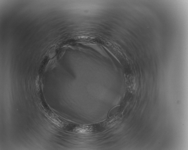 X0000071780563200607150058