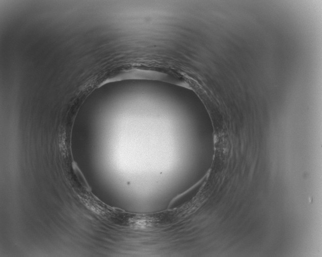 X0000071780564200607150058