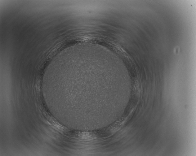 X0000071780565200607150058