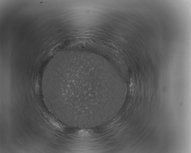 X0000071780566200607150058