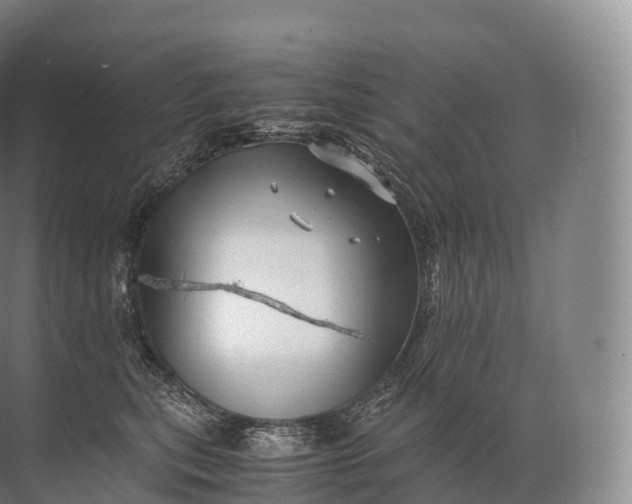 X0000071780567200607150058