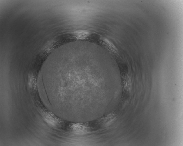 X0000071780568200607150058