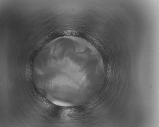 X0000071780569200607150058