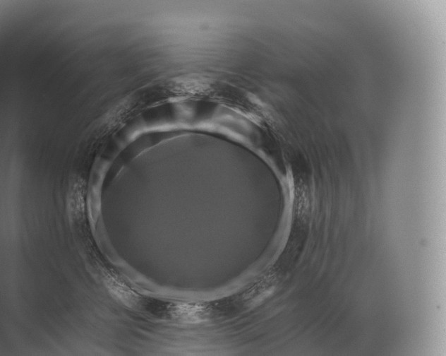 X0000071780570200607150058