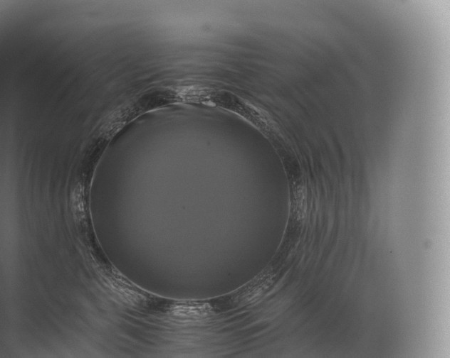 X0000071780571200607150058