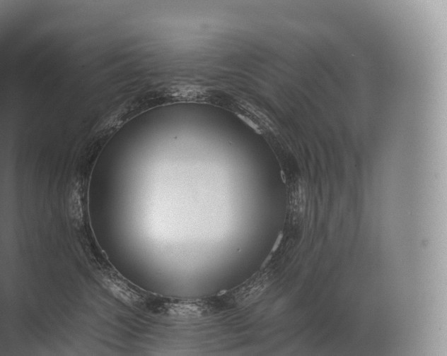 X0000071780572200607150058