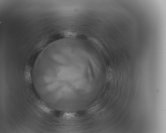 X0000071780573200607150058