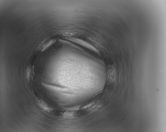 X0000071780574200607150058