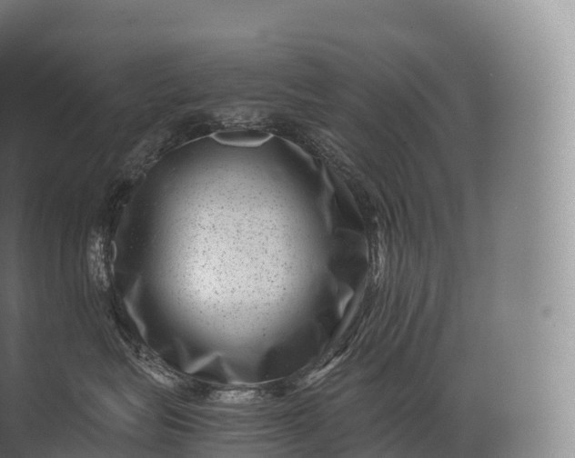 X0000071780575200607150058