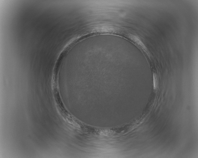 X0000071780579200607150057