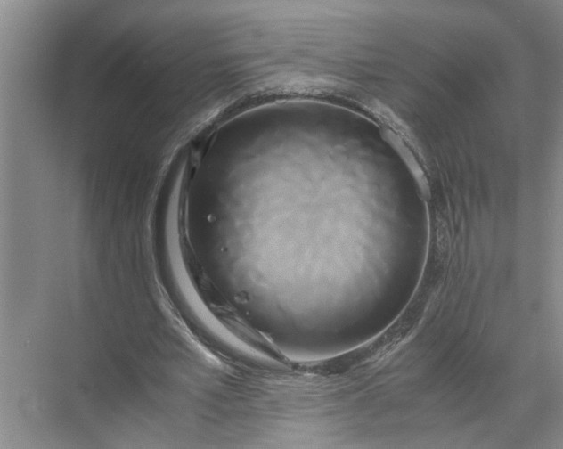 X0000071780581200607150057