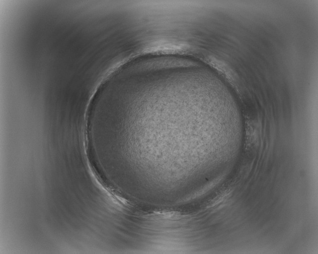 X0000071780582200607150057