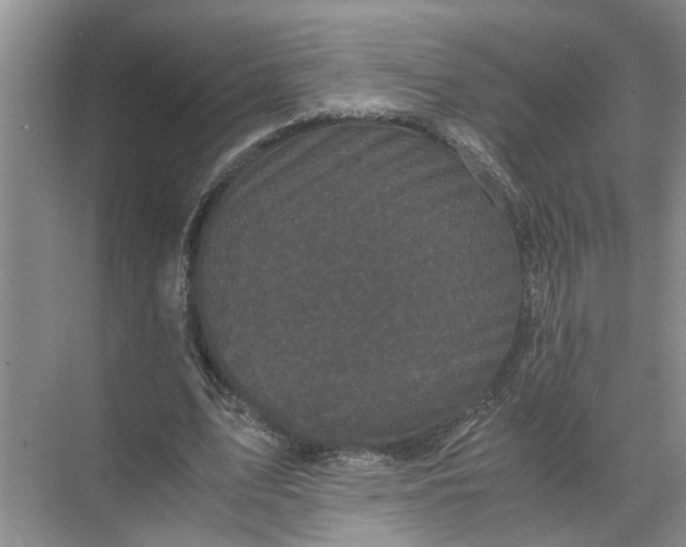 X0000071780583200607150057