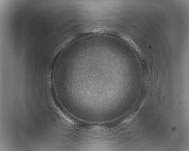 X0000071780585200607150057