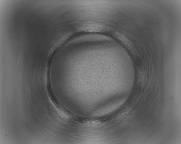 X0000071780586200607150057