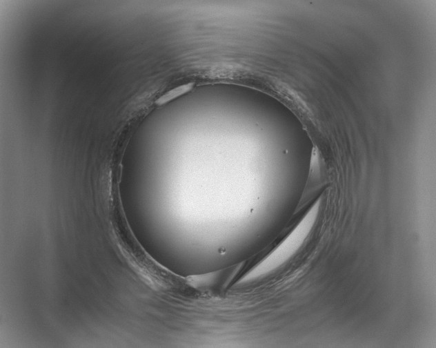 X0000071780589200607150057